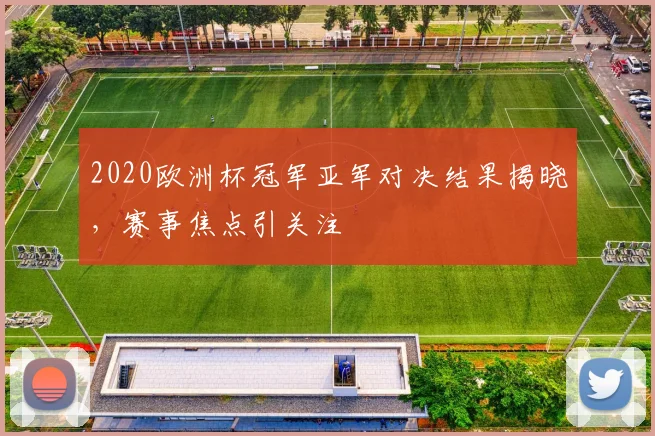 2020欧洲杯冠军亚军对决结果揭晓，赛事焦点引关注