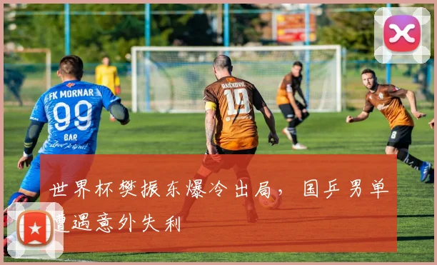 世界杯樊振东爆冷出局,国乒男单遭遇意外失利