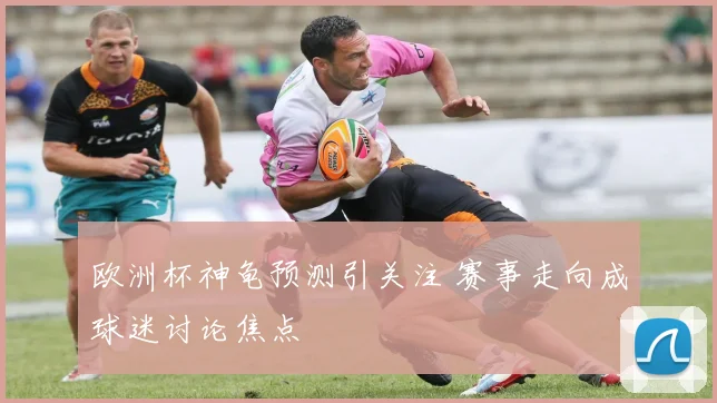 欧洲杯神龟预测引关注 赛事走向成球迷讨论焦点